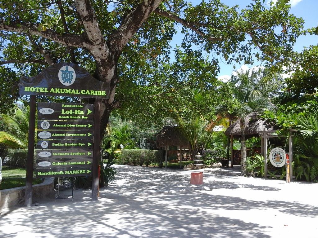 Hotel Club Akumal Caribe Eksteriør bilde